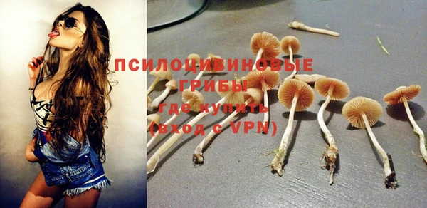 стафф Алексеевка