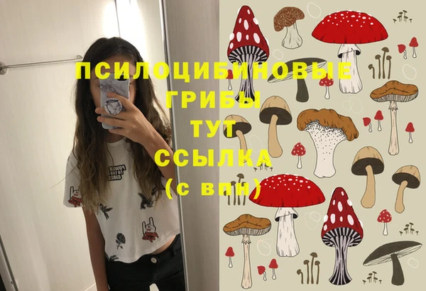 стафф Алексеевка